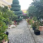 شقة فندقية Eden شيوفوك