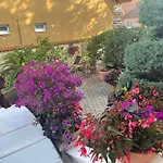 Eden شيوفوك