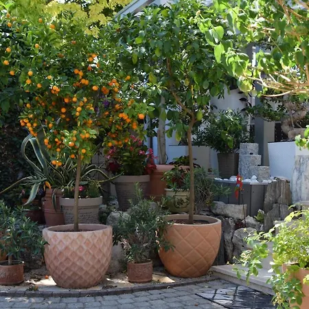 Eden * Siofok