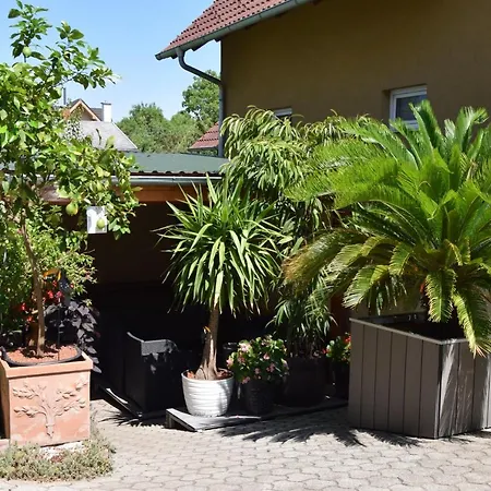 Eden 4* Siófok